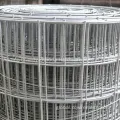 PVC Coated Welded Wire Mesh PVC Coated Galvanized Welded Wire Mesh Netting Roll Supplier